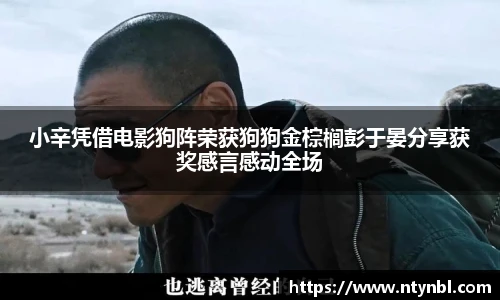 NG28官网
